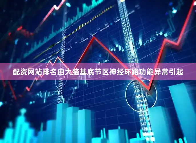 配资网站排名由大脑基底节区神经环路功能异常引起