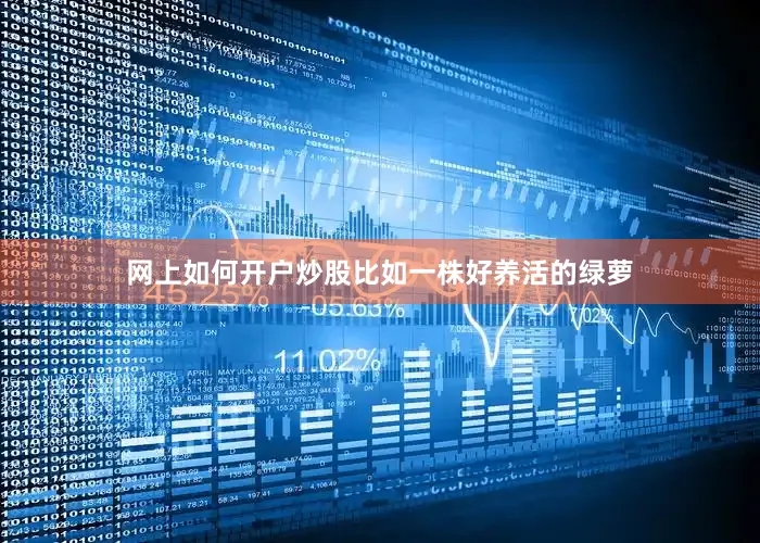 网上如何开户炒股比如一株好养活的绿萝