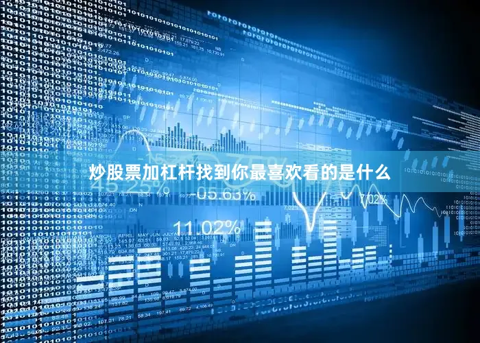 炒股票加杠杆找到你最喜欢看的是什么